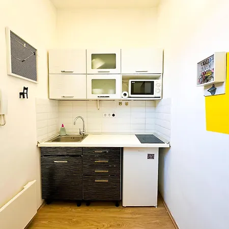 Spacious Buda Apartment Air Conditioning Budapest Exterior photo