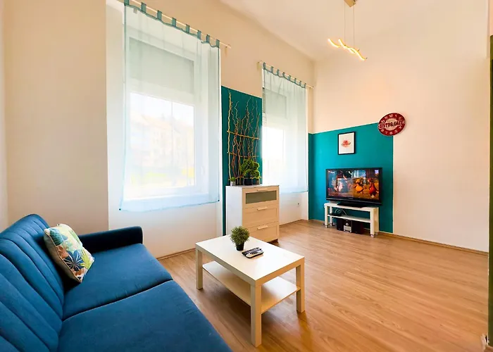 Spacious Buda Apartment Air Conditioning
