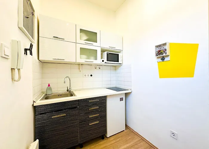 Spacious Buda Apartment Air Conditioning